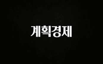인플루언서가 공개한 계획경제 확인 부탁드립니다