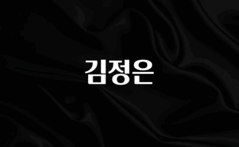 사랑을 담은 김정은 실사용 후기