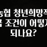 사계절 사랑받는 농협 청년희망적금 조건이 어떻게 되나요? 관심이 뜨겁습니다