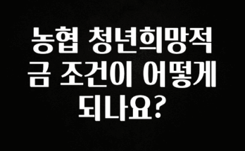 사계절 사랑받는 농협 청년희망적금 조건이 어떻게 되나요? 관심이 뜨겁습니다