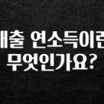 찐친이랑 확인하세요 대출 연소득이란 무엇인가요? 30초면 확인 가능합니다