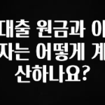 이렇게 달라졌다고? 대출 원금과 이자는 어떻게 계산하나요? 전합니다