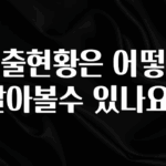 이번 선물은 꼭 대출현황은 어떻게 알아볼수 있나요? 지금 소개할게요