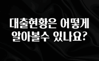 이번 선물은 꼭 대출현황은 어떻게 알아볼수 있나요? 지금 소개할게요