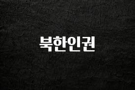 금주의 인기 북한인권 뜨거운 관심 감사합니다