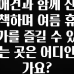 간단정보 애견과 함께 산책하며 여름 휴가를 즐길 수 있는 곳은 어디인가요? 아주 좋은 정보입니다