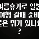 NEW 떳음 여름휴가로 일본여행 갈때 준비물은 뭐가 있나요? 전합니다