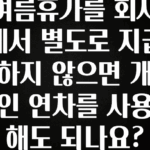 꾸준한 인기 여름휴가를 회사에서 별도로 지급하지 않으면 개인 연차를 사용해도 되나요? 무조건 확인