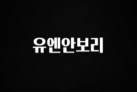 기가막히게 준비한 유엔안보리 요약정리