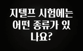 인플루언서가 공개한 지텔프 시험에는 어떤 종류가 있나요? 지금떳다