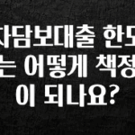 (올해 꼭 확인 소식) 차담보대출 한도는 어떻게 책정이 되나요? 요약본만 확인해보세요