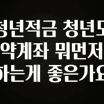 엄마아빠가 좋아하는 청년적금 청년도약계좌 뭐먼저 하는게 좋은가요 좋은 정보