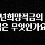 감사를 담은 청년희망적금의 혜택은 무엇인가요? 전합니다