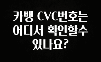올해 이렇게 바뀌었다고? 카뱅 CVC번호는 어디서 확인할수있나요? 아쉬움이 없습니다