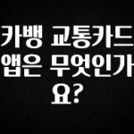 역.대.급 이벤트 카뱅 교통카드 앱은 무엇인가요? 요약정리