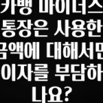 진심을 담은 카뱅 마이너스 통장은 사용한 금액에 대해서만 이자를 부담하나요? 주목하고 계십니다