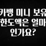 인스타 정보 카뱅 미니 보유 한도액은 얼마인가요? 추천한 이유입니다
