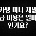 빼박 필수 카뱅 미니 재발급 비용은 얼마인가요? 30초면 확인 가능합니다