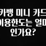 찐추천 이유 카뱅 미니 카드 이용한도는 얼마인가요? 지금떳다