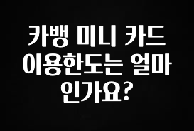 찐추천 이유 카뱅 미니 카드 이용한도는 얼마인가요? 지금떳다