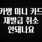 “꼭” 알려주세요 카뱅 미니 카드 재발급 취소 안돼나요 지금떳다