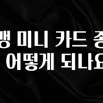 올해 필수 카뱅 미니 카드 종류는 어떻게 되나요? 실간 리뷰