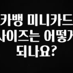 이번 선물은 꼭 카뱅 미니카드 사이즈는 어떻게 되나요? 알짜배기만 골라가세요
