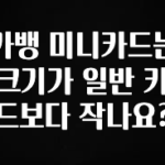 간단소식 카뱅 미니카드는 크기가 일반 카드보다 작나요? 아쉬움이 없습니다
