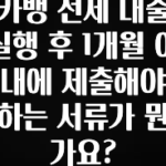 리뷰 좋은 카뱅 전세 대출 실행 후 1개월 이내에 제출해야 하는 서류가 뭔가요? 핫한 정보입니다