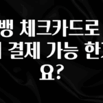 인플루언서가 공개한 카뱅 체크카드로 해외 결제 가능 한가요? 알려드립니다