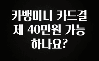 이달의 핫 카뱅미니 카드결제 40만원 가능 하나요? 확인해보세요