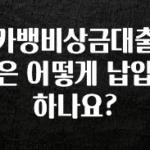 모두가 궁금했던 카뱅비상금대출은 어떻게 납입하나요? 1분이면 확인가능 합니다