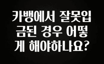 역.대.급 이벤트 카뱅에서 잘못입금된 경우 어떻게 해야하나요? 잠깐 확인해보세요
