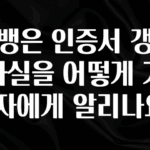 가성비 정보 카뱅은 인증서 갱신 사실을 어떻게 가입자에게 알리나요? 리뷰 해보겠습니다