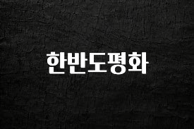 인플루언서가 공개한 한반도평화 무조건 확인
