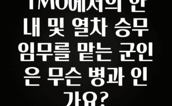이렇게 달라졌다고? TMO에서의 안내 및 열차 승무 임무를 맡는 군인은 무슨 병과 인가요? 실사용 후기