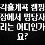 꼭 써야하는 각흘계곡 캠핑장에서 명당자리는 어디인가요? 기억하세요