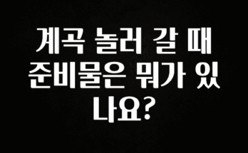 기가막히게 준비한 계곡 놀러 갈 때 준비물은 뭐가 있나요? 알려드립니다