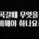 일단 저장해야하는 계곡갈때 무엇을 준비해야 하나요? 알짜배기만 골라가세요