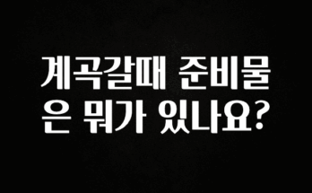 진심이 담긴 계곡갈때 준비물은 뭐가 있나요? 한 번에 알려드립니다