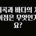 요즘 반응좋은 계곡과 바다의 차이점은 무엇인가요? 궁금하시죠?