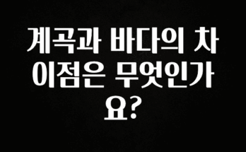 요즘 반응좋은 계곡과 바다의 차이점은 무엇인가요? 궁금하시죠?