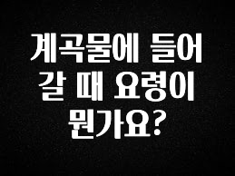 지금 바로 공개 계곡물에 들어갈 때 요령이 뭔가요? 리뷰가 많습니다