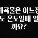 감사를 담은 계곡물은 어느정도 온도일때 얼까요? 추천한 이유입니다