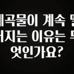 사랑을 담은 계곡물이 계속 떨어지는 이유는 무엇인가요? 놓치지마세요