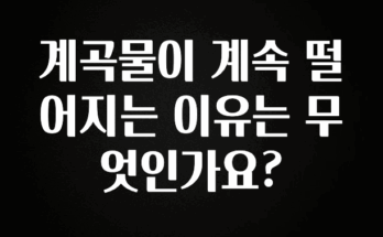 사랑을 담은 계곡물이 계속 떨어지는 이유는 무엇인가요? 놓치지마세요