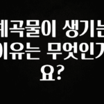 정성을 담은 계곡물이 생기는 이유는 무엇인가요? 바로 소개합니다.