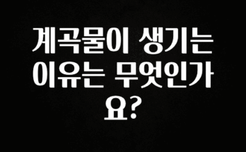 정성을 담은 계곡물이 생기는 이유는 무엇인가요? 바로 소개합니다.