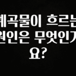 인플루언서가 공개한 계곡물이 흐르는 원인은 무엇인가요? 실시간 리뷰입니다