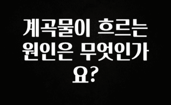인플루언서가 공개한 계곡물이 흐르는 원인은 무엇인가요? 실시간 리뷰입니다